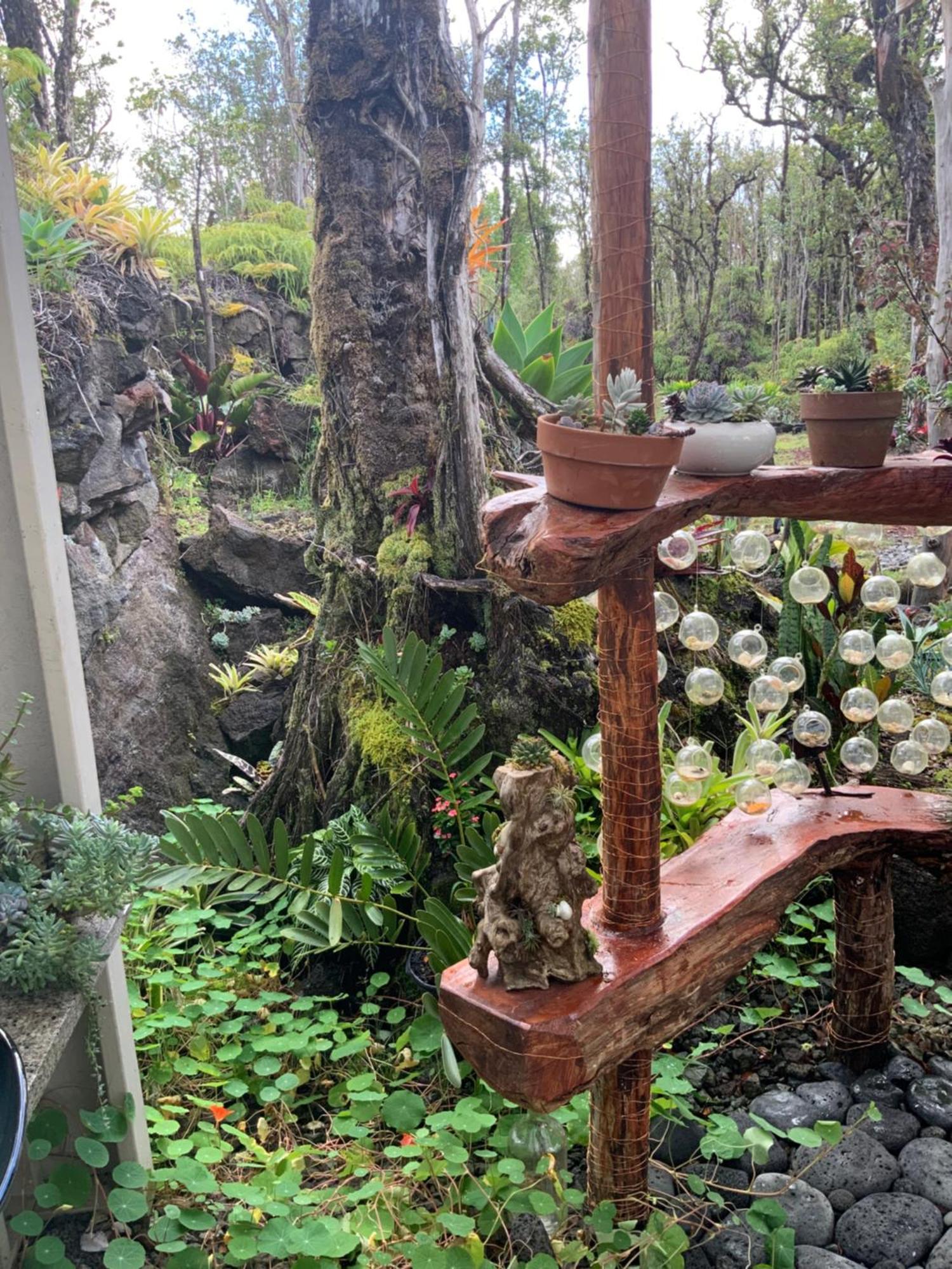 Exotic Garden Cottage At Amazing Volcano Fissure Mountain View Exterior foto