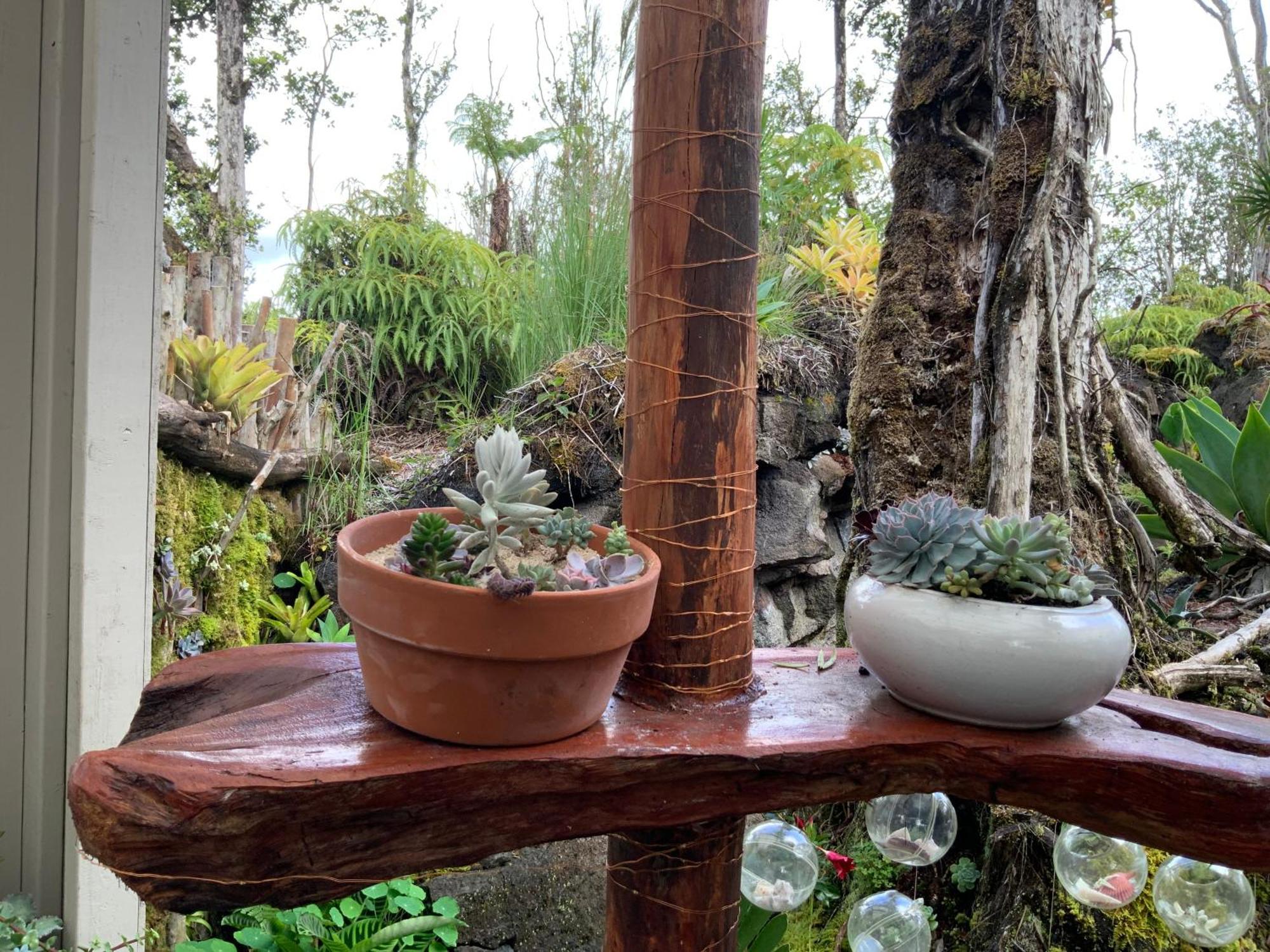 Exotic Garden Cottage At Amazing Volcano Fissure Mountain View Exterior foto