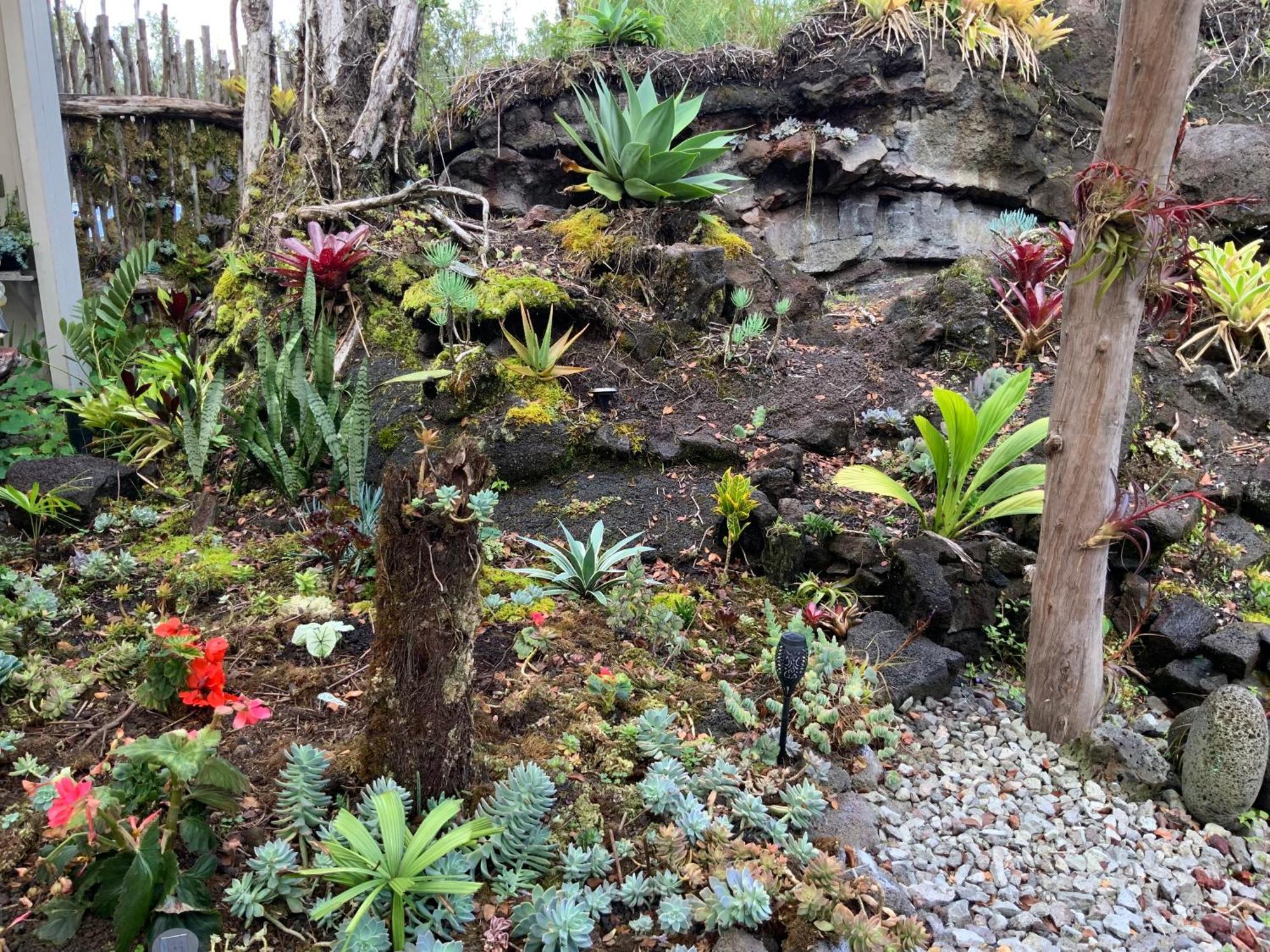 Exotic Garden Cottage At Amazing Volcano Fissure Mountain View Exterior foto