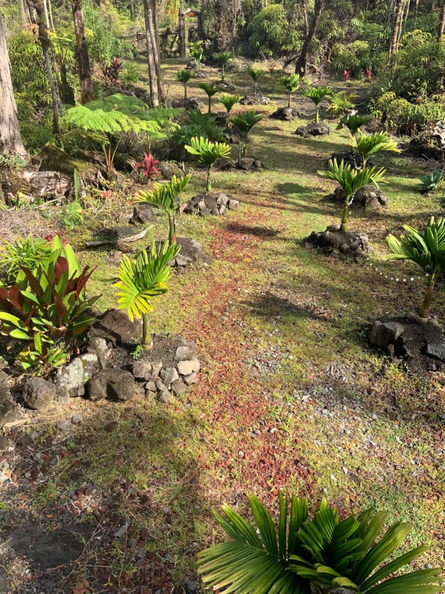 Exotic Garden Cottage At Amazing Volcano Fissure Mountain View Exterior foto
