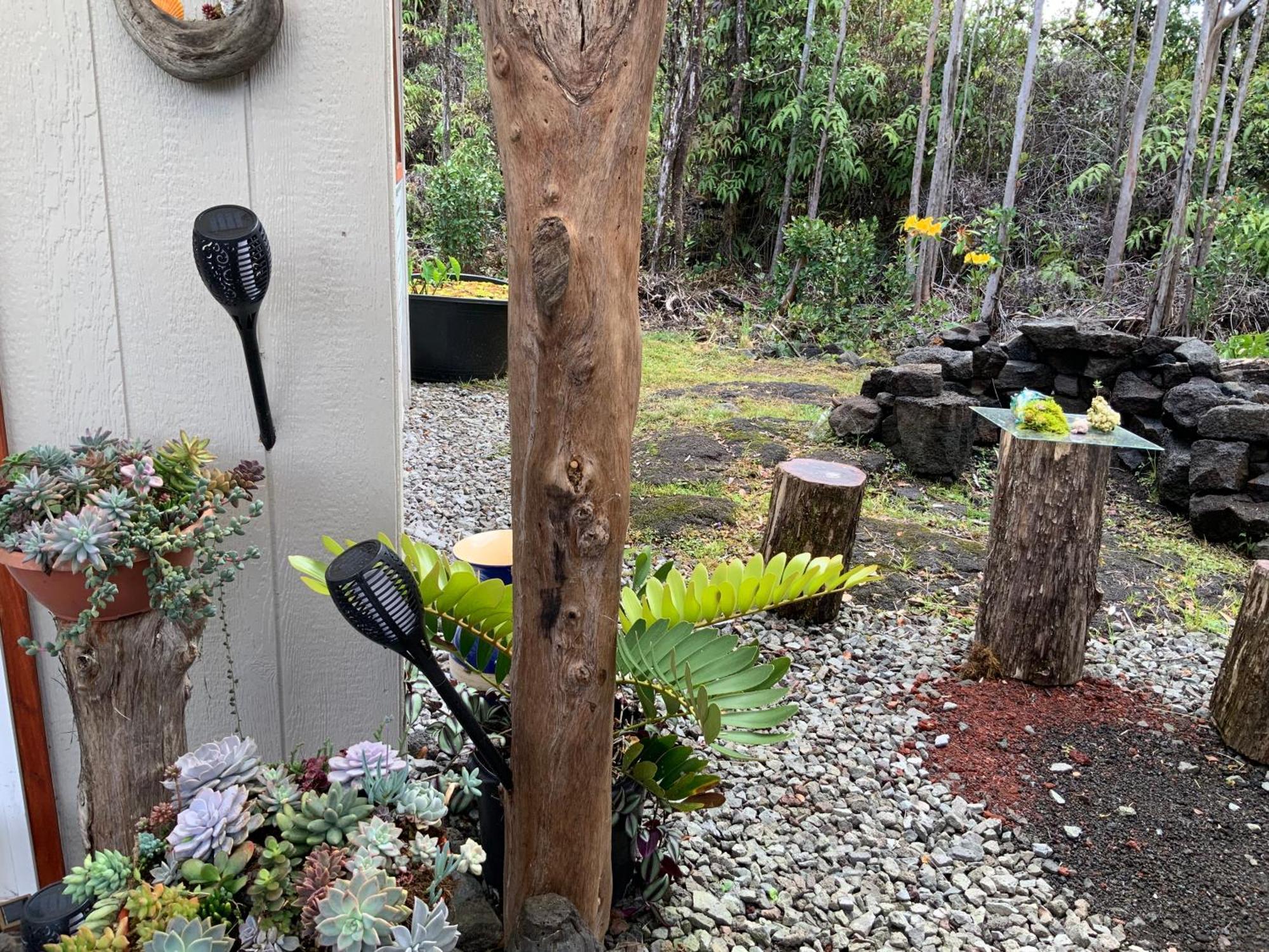 Exotic Garden Cottage At Amazing Volcano Fissure Mountain View Exterior foto
