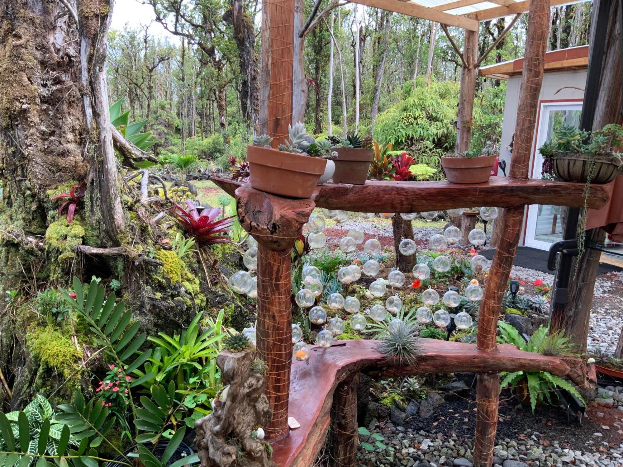 Exotic Garden Cottage At Amazing Volcano Fissure Mountain View Exterior foto