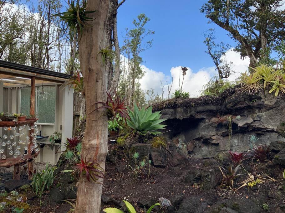 Exotic Garden Cottage At Amazing Volcano Fissure Mountain View Exterior foto