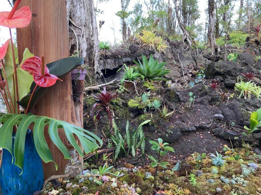 Exotic Garden Cottage At Amazing Volcano Fissure Mountain View Exterior foto