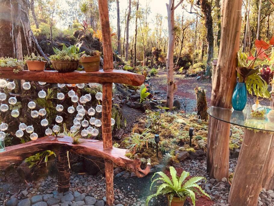 Exotic Garden Cottage At Amazing Volcano Fissure Mountain View Exterior foto